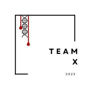 Team X